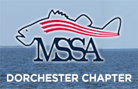 mssa-dorchester